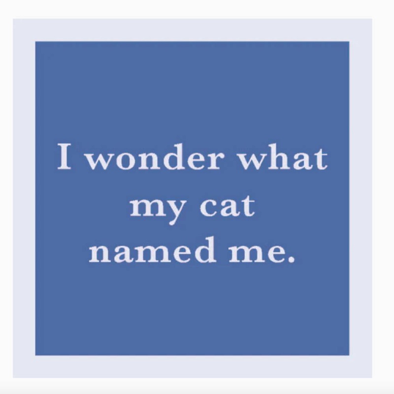 “Cat Named Me” Coaster